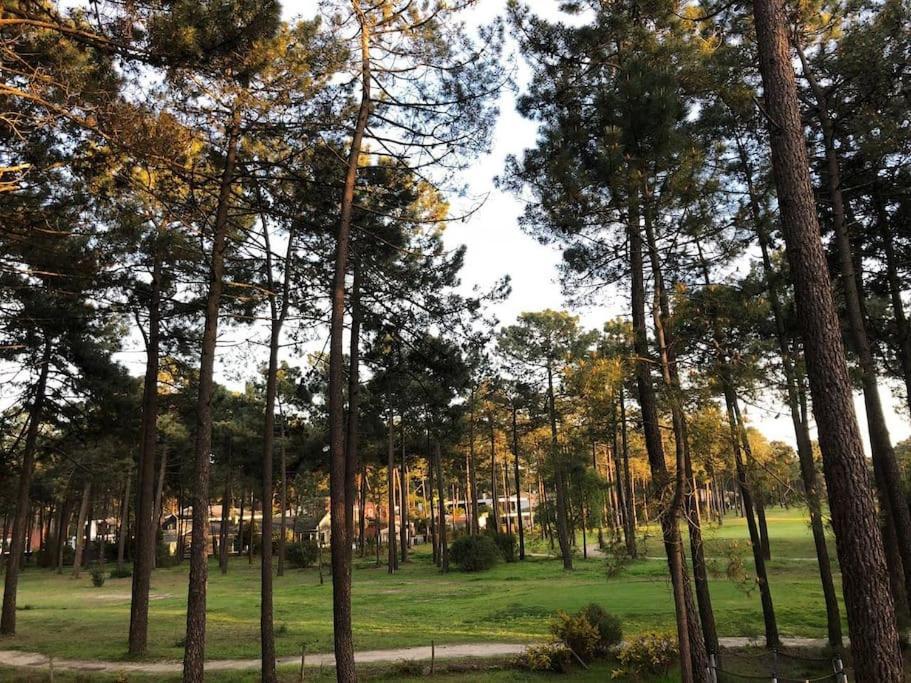 Aroeira Lisbon Golf & Beach 沙尔内卡 外观 照片